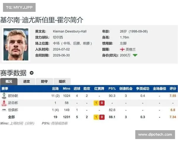 切尔西中场霍尔以2400万镑转会费加盟埃弗顿浮动条款随合同而定 切尔西中场霍尔以2400万镑转会费加盟埃弗顿浮动条款随合同而定
